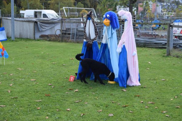Plauschparcours Herbst 2017 53