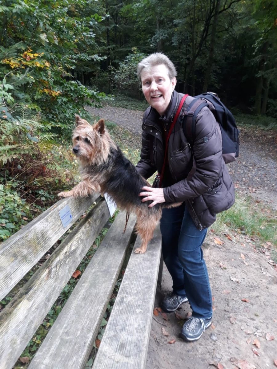Dogtrail Herbst 2019 36