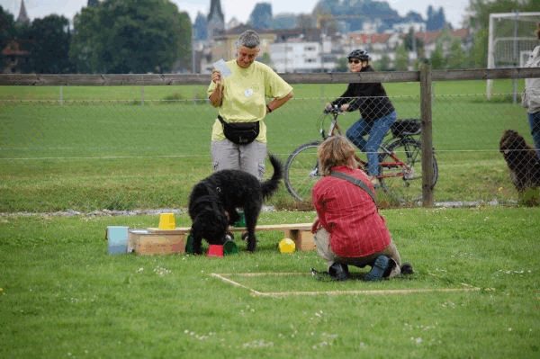 Plauschparcours 2015 62
