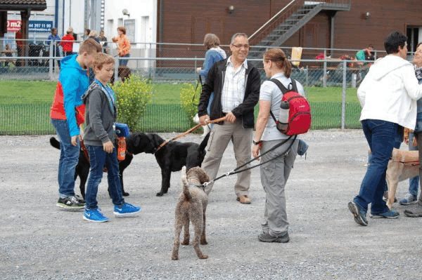 Plauschparcours 2015 64