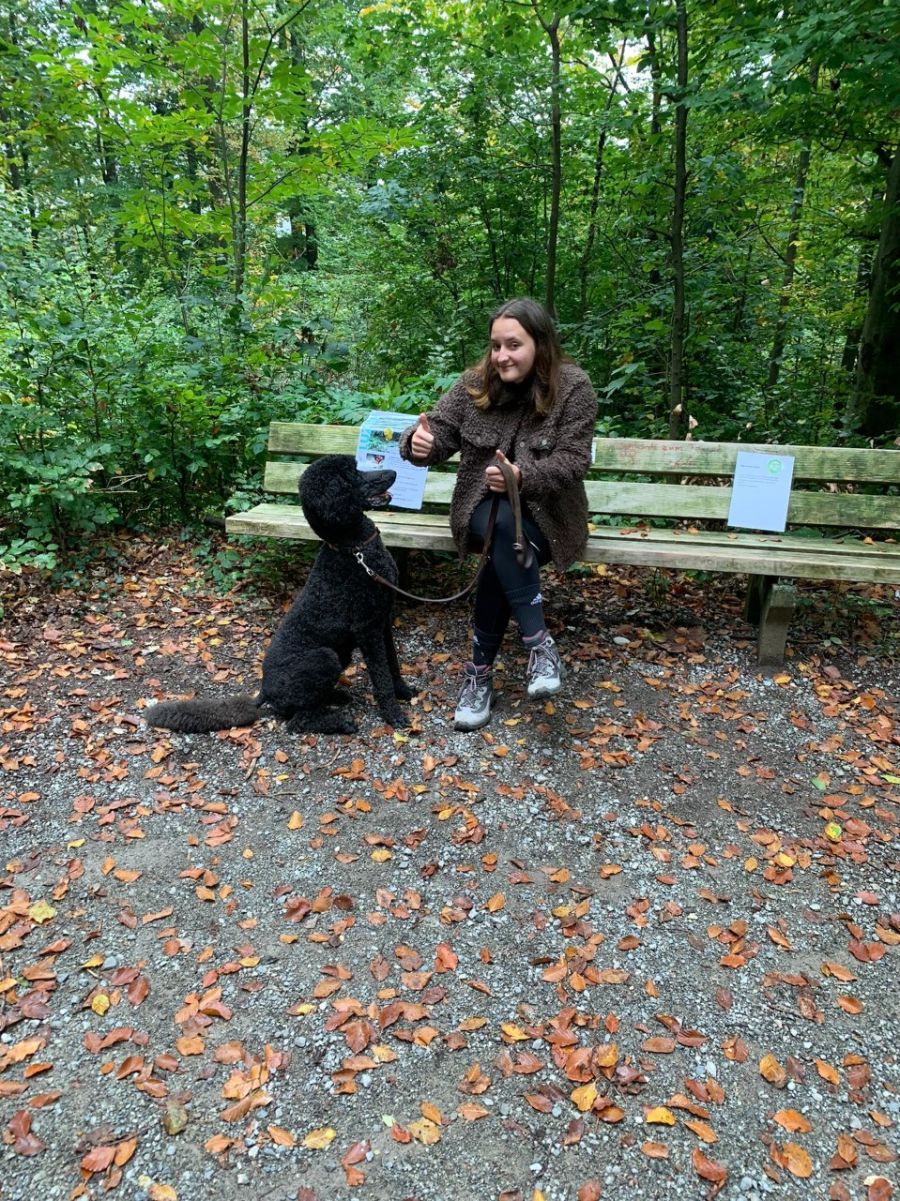 Dogtrail Herbst 2019 40
