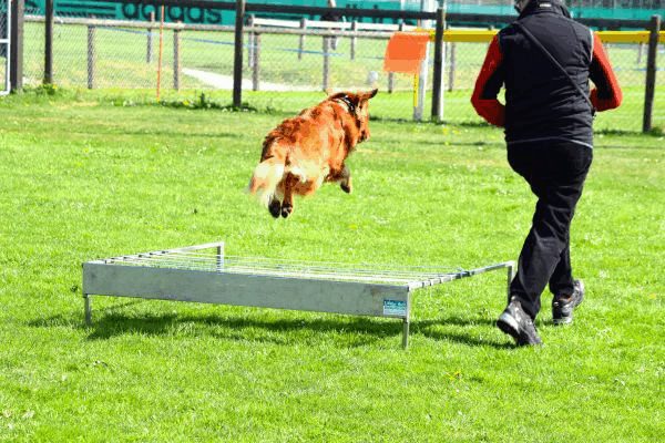 Spartentag 2015 91