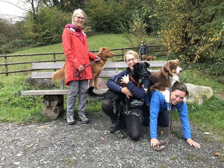 Dogtrail Herbst 2019 41