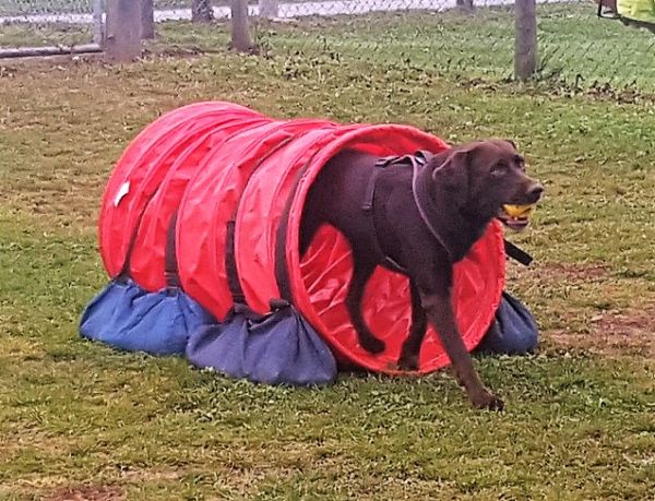 Plauschparcours Herbst 2018 32