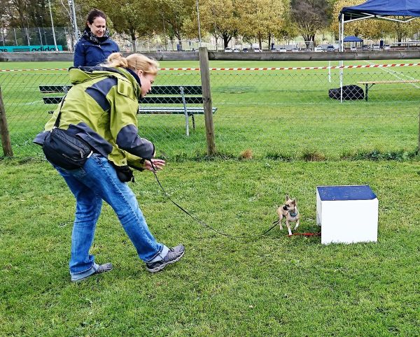 Plauschparcours Herbst 2017 55