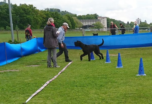 Plauschparcours Frühling 2019 22