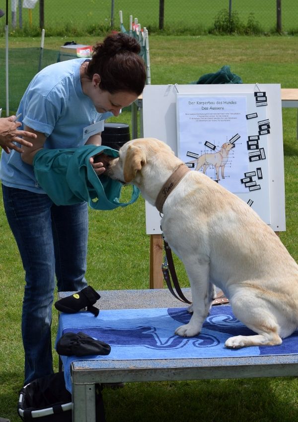 Plauschparcours Frühling 2016 46