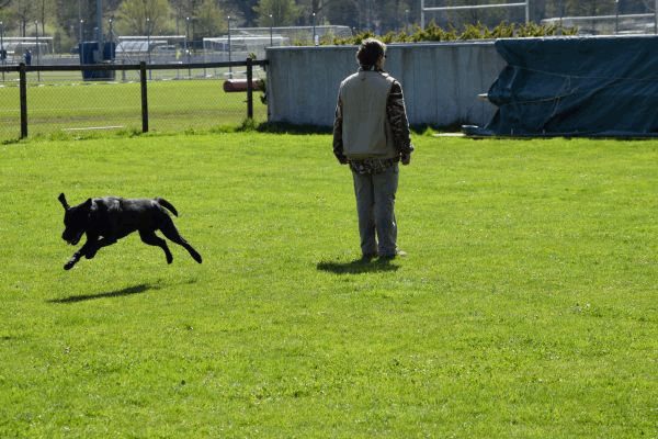 Spartentag 2015 93