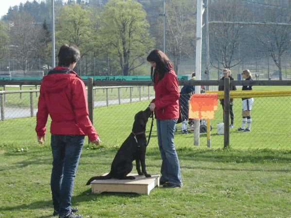 Spartentag 2015 94
