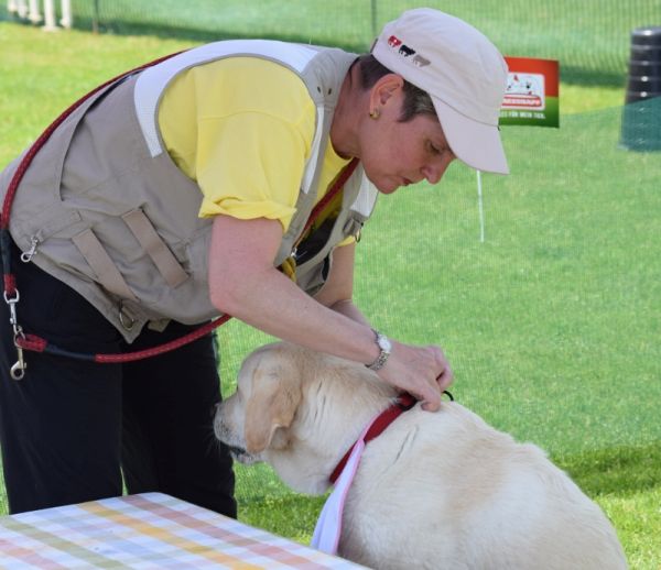 Plauschparcours Frühling 2016 47