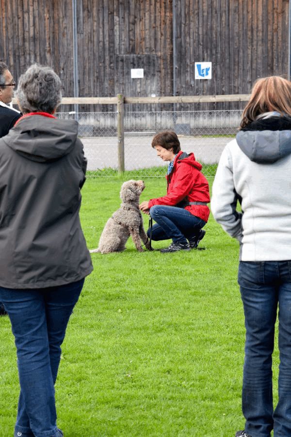 Spartentag 2015 95
