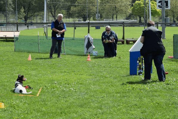 Plauschparcours Frühling 2017 83