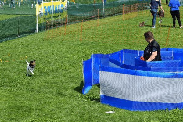 Plauschparcours Frühling 2017 84