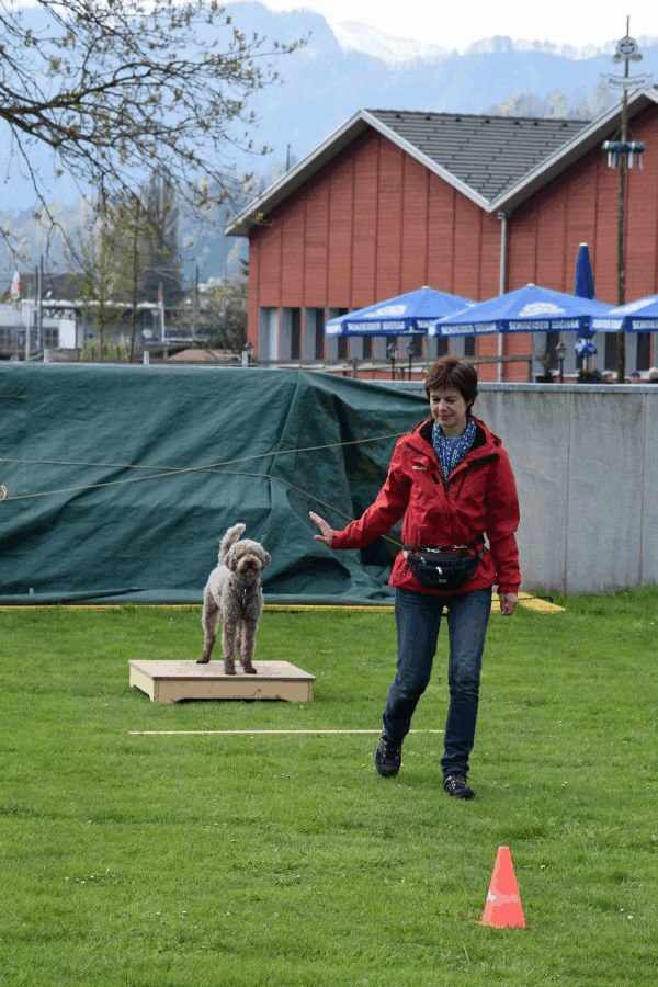 Spartentag 2015 96