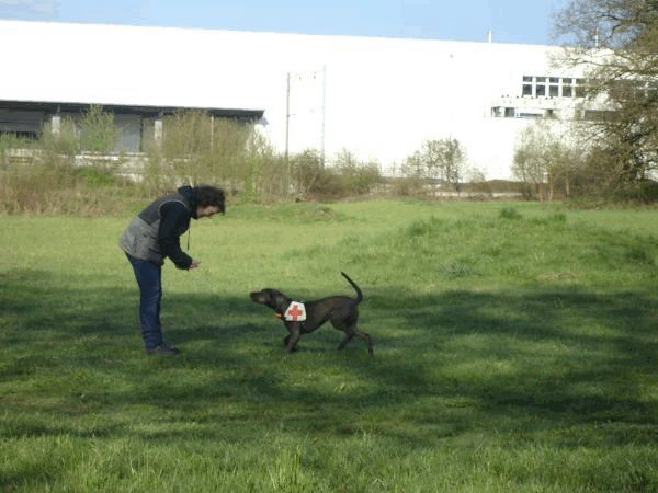 Spartentag 2015 98