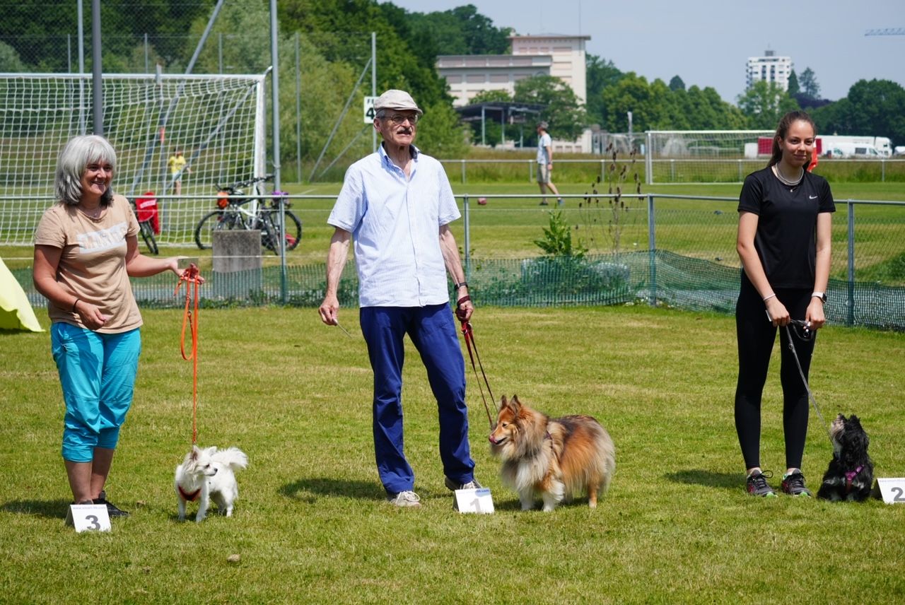 Agility Plauschturnier 2023 10