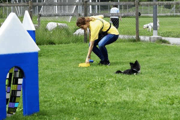 Plauschparcours Frühling 2017 86