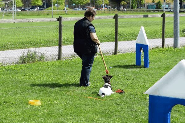 Plauschparcours Frühling 2017 89