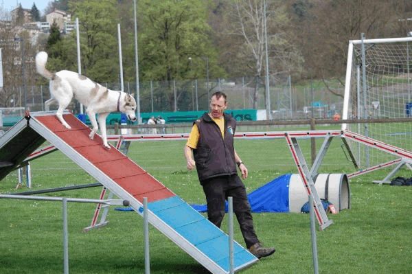 Spartentag 2015 101