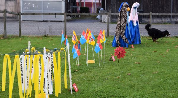 Plauschparcours Herbst 2017 59