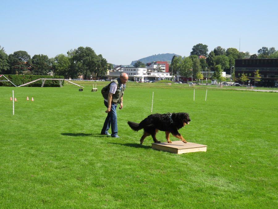 Entdeckertag Allmend 2019 14