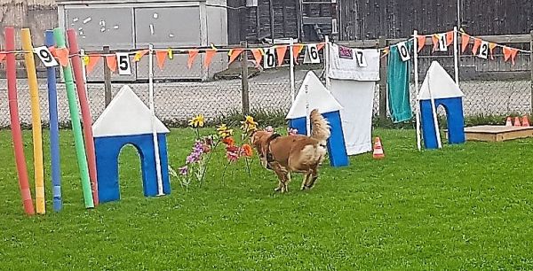 Plauschparcours Herbst 2018 34