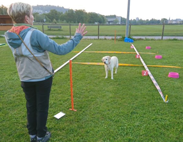 Plauschparcours Frühling 2019 24