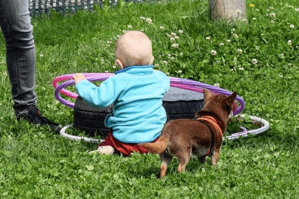 Plauschparcours Frühling 2017 94