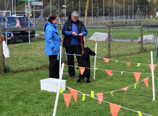 Plauschparcours Herbst 2017 62