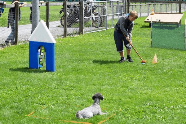 Plauschparcours Frühling 2017 96