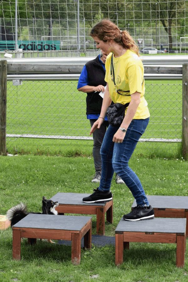 Plauschparcours Frühling 2017 97