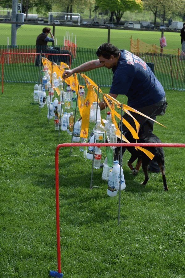 Plauschparcours Frühling 2017 98