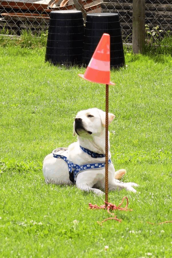Plauschparcours Frühling 2017 99