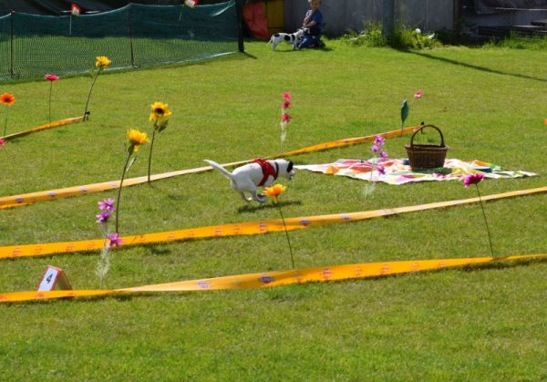 Plauschparcours Frühling 2016 55