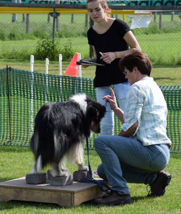 Plauschparcours Frühling 2016 56