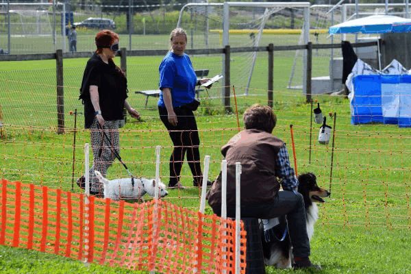 Plauschparcours Frühling 2017 104