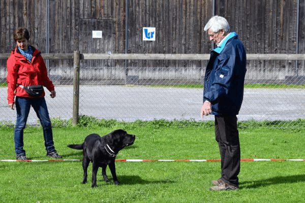 Spartentag 2015 106