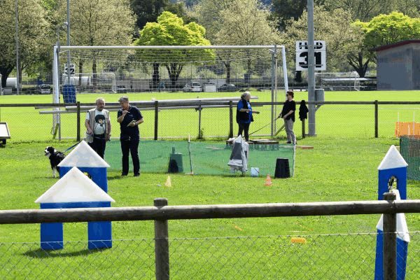 Plauschparcours Frühling 2017 106