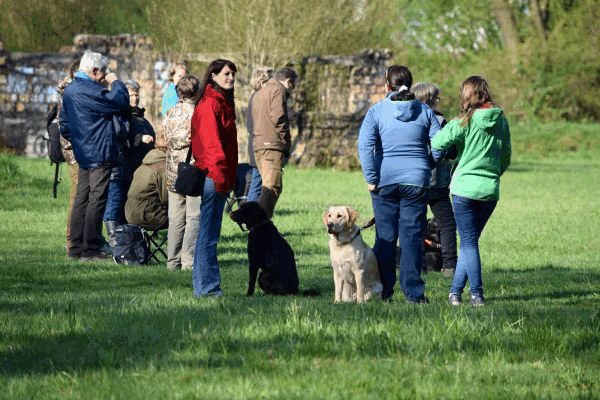 Spartentag 2015 107