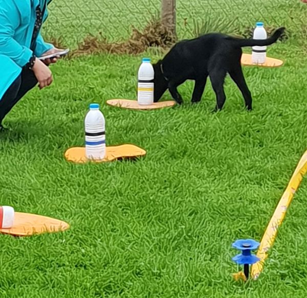 Plauschparcours Herbst 2018 36