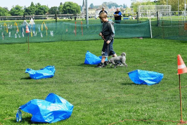 Plauschparcours Frühling 2017 109
