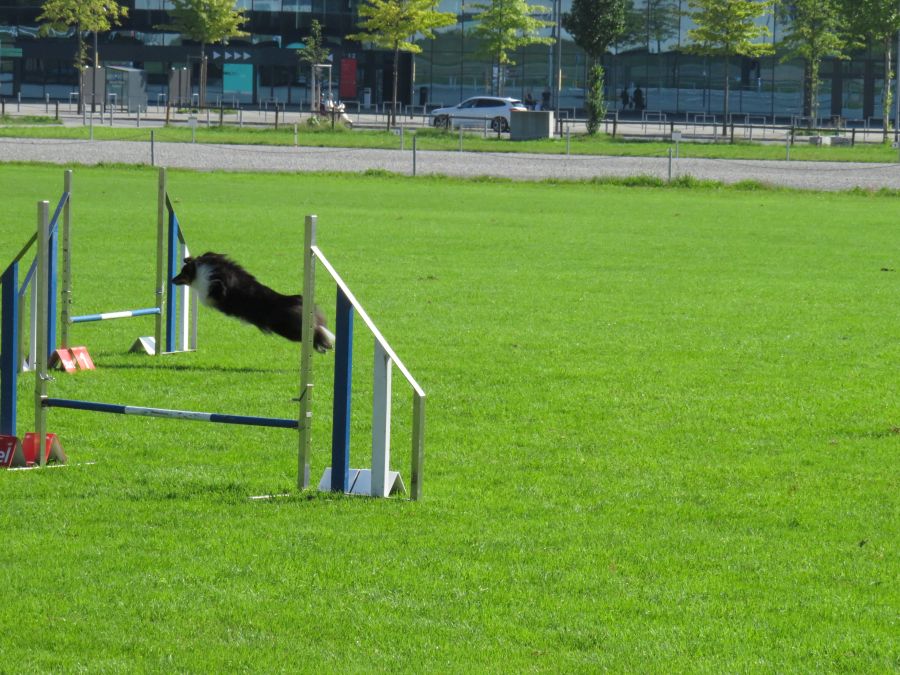 Entdeckertag Allmend 2019 17