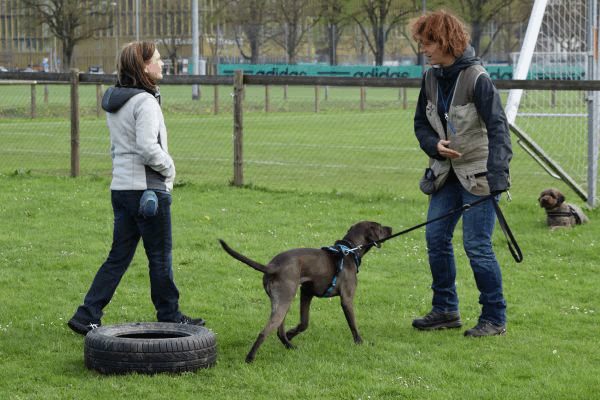 Spartentag 2015 112