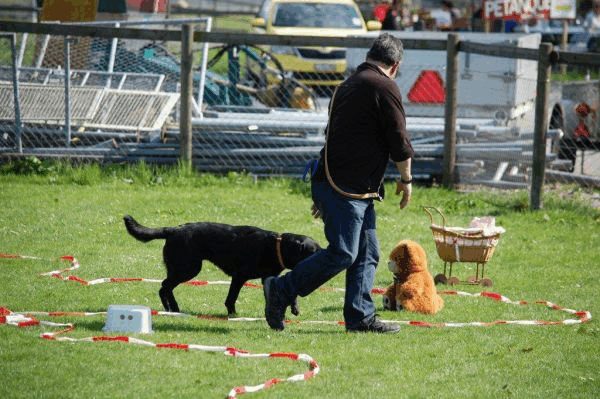Spartentag 2015 113