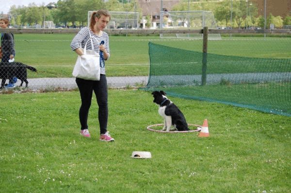 Plauschparcours 2015 86