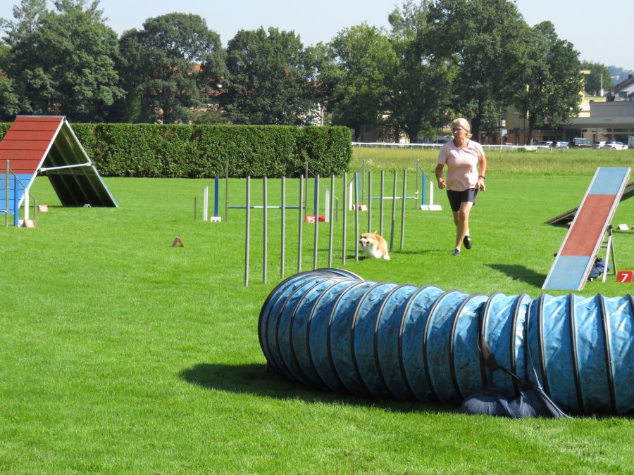 Entdeckertag Allmend 2019 18