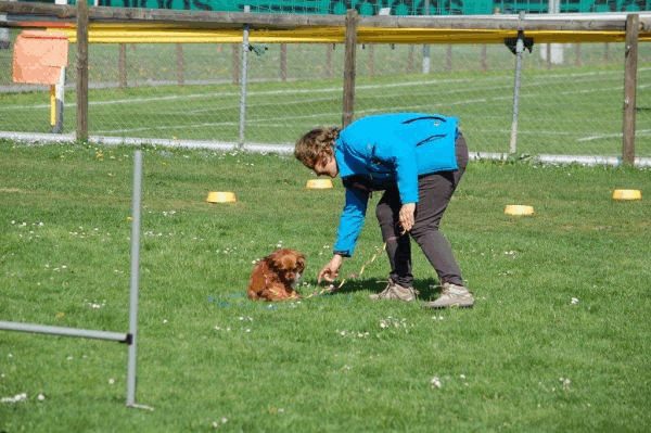 Spartentag 2015 115