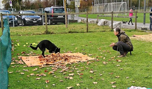 Plauschparcours Herbst 2017 69