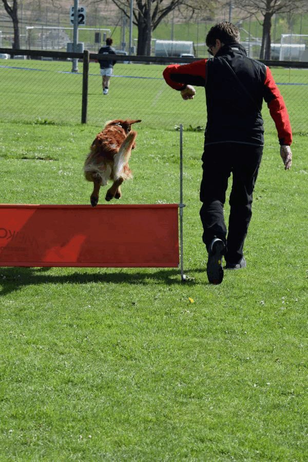 Spartentag 2015 116