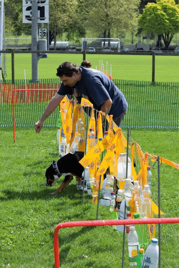Plauschparcours Frühling 2017 116